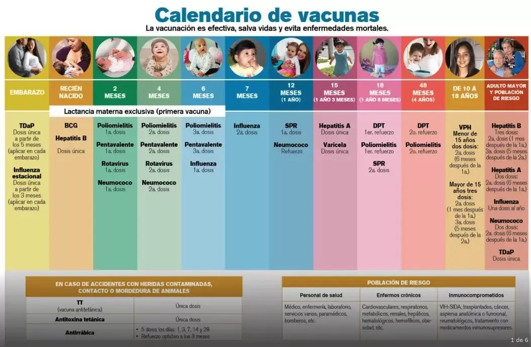 Infografía «Calendario de vacunas» con las vacunas recomendadas por edad